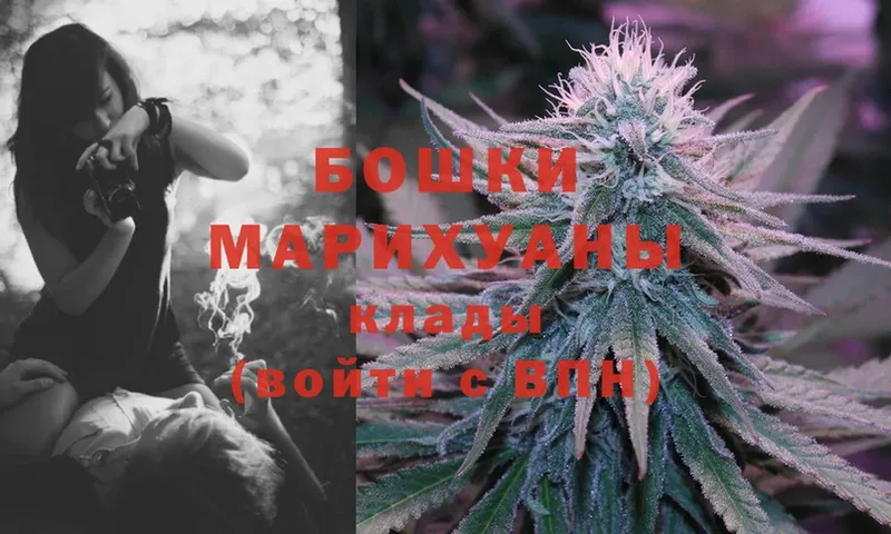 дарнет шоп  Советский  МАРИХУАНА White Widow 